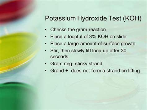 koh test positive result|Potassium Hydroxide Test .